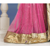 Sparkling Velvet Pallu Net Lehenga Saree